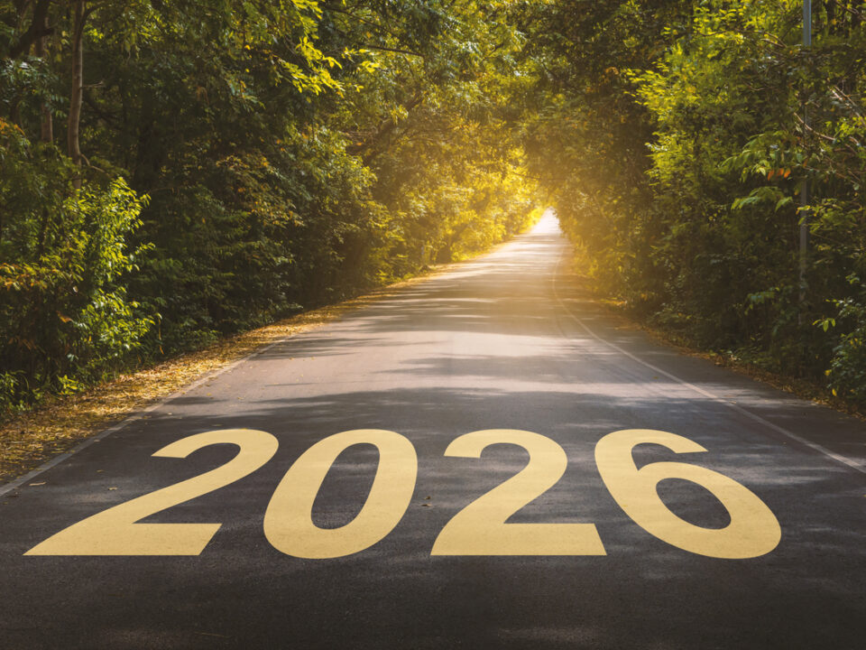 A road in a forest with the number 2026 painted on the pavement in large yellow letters.